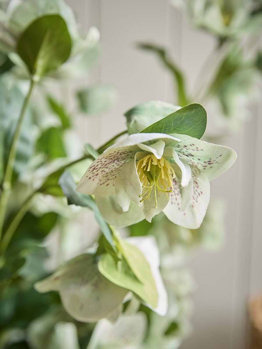 Faux Potted Large Hellebore - Green