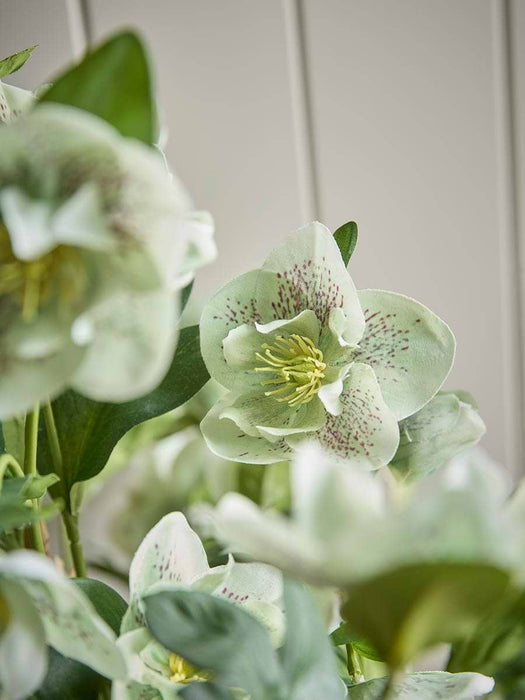 Faux Potted Large Hellebore - Green
