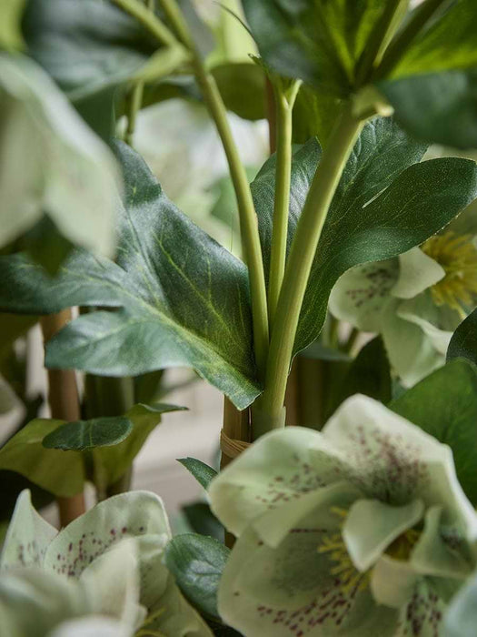 Faux Potted Large Hellebore - Green