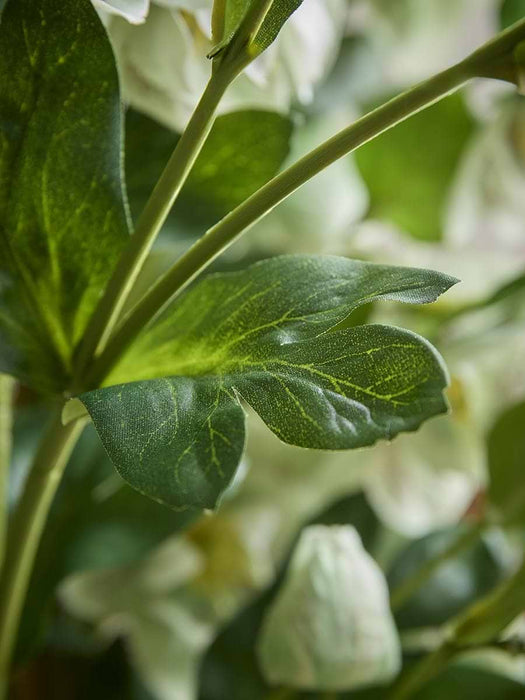 Faux Potted Large Hellebore - Green