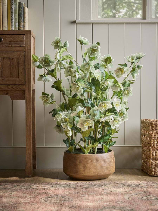 Faux Potted Large Hellebore - Green