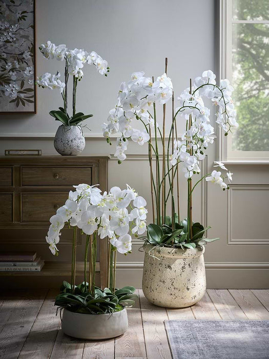 Faux Potted Wild Orchid - Small