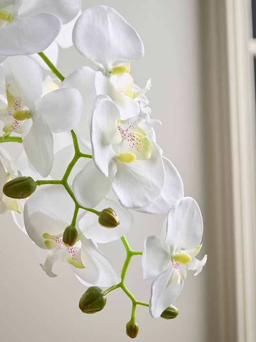 Faux Potted Wild Orchid - Large
