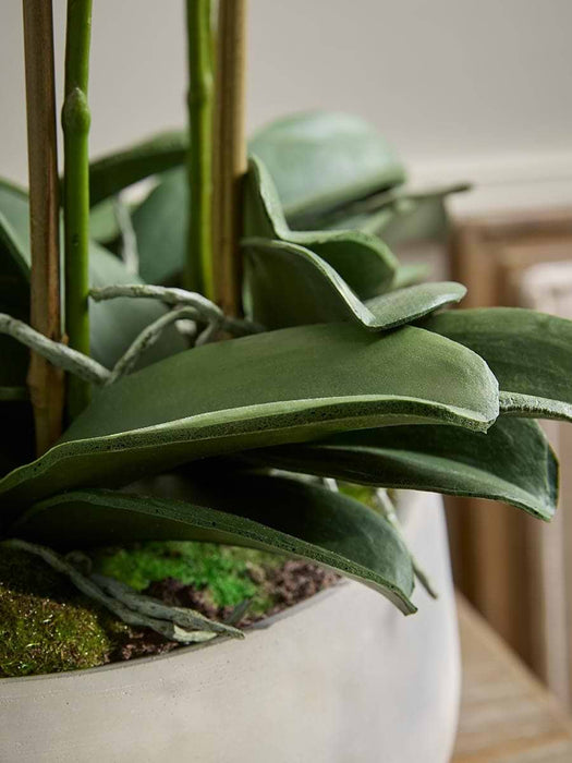Faux Potted Wild Orchid - Large