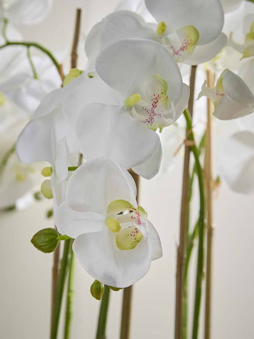 Faux Potted Wild Orchid - Large