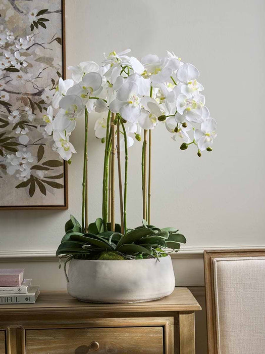 Faux Potted Wild Orchid - Large