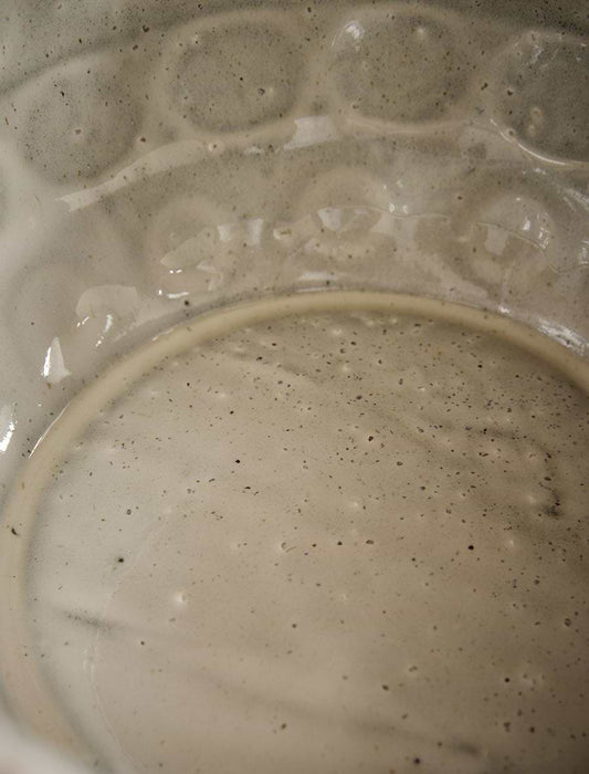 Dotted Embossed Ceramic Bowl
