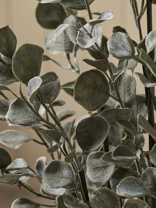 Faux Potted Eucalyptus In Ceramic Pot