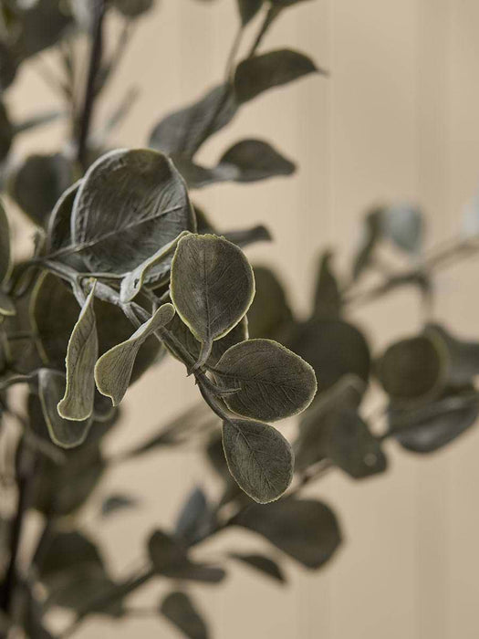Faux Potted Eucalyptus In Ceramic Pot
