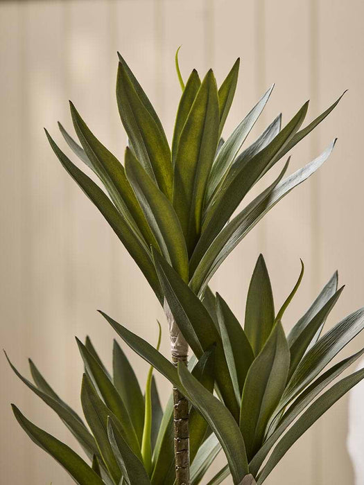 Faux Ceramic Potted Yucca