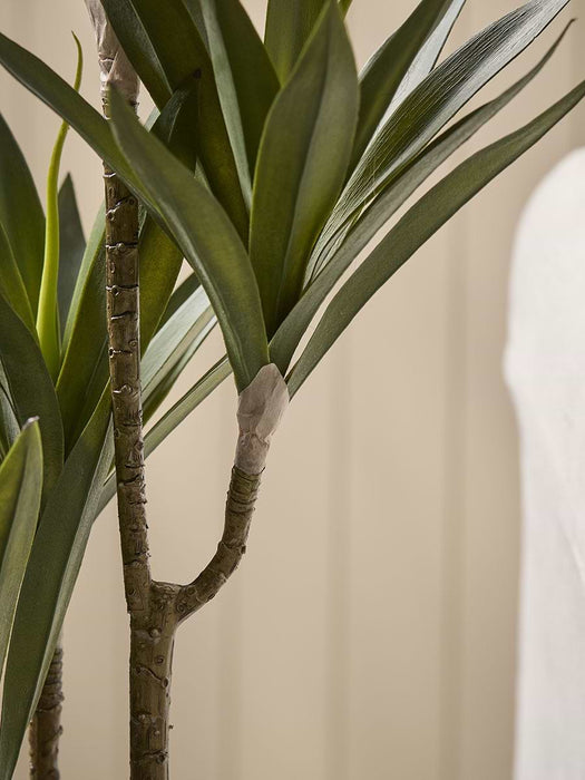 Faux Ceramic Potted Yucca