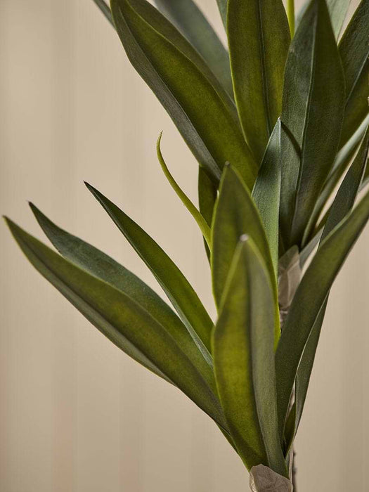 Faux Ceramic Potted Yucca