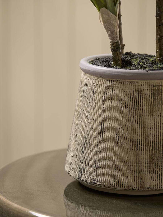 Faux Ceramic Potted Yucca