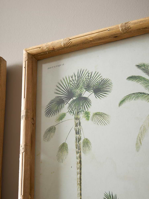 Four Palm Prints Framed