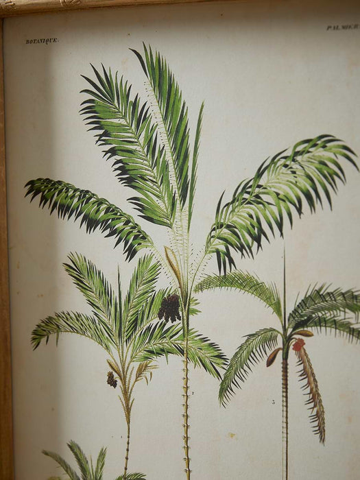 Four Palm Prints Framed