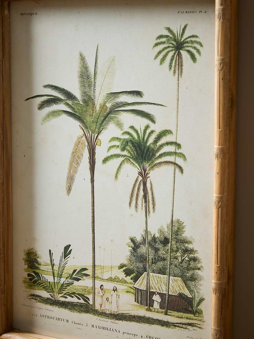 Four Palm Prints Framed