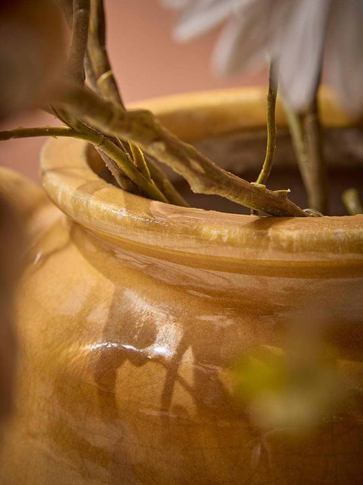Two Tone Amphora Vase