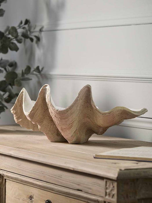 Decorative Coral Shell