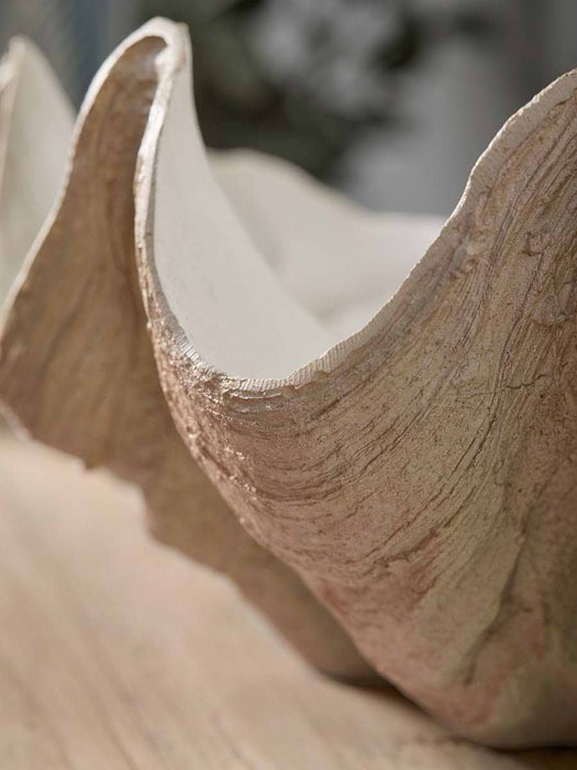 Decorative Coral Shell