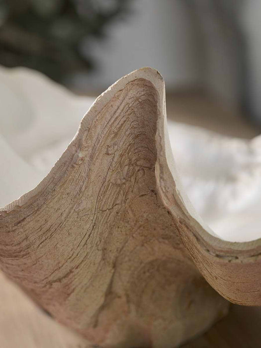 Decorative Coral Shell