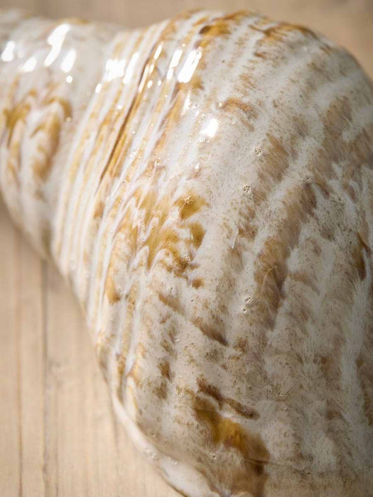 Decorative Conical Shell