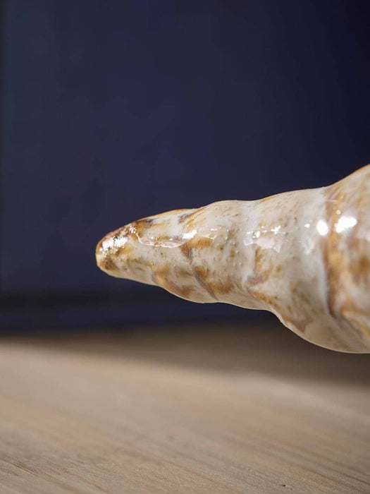 Decorative Conical Shell
