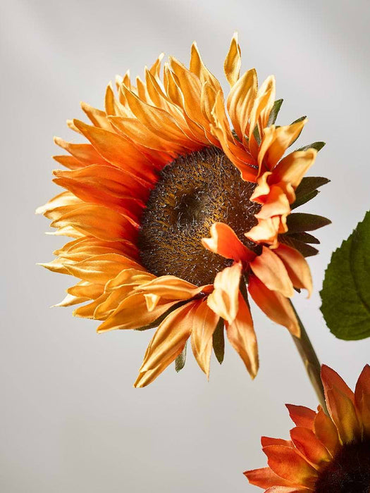 Sunflower Spray