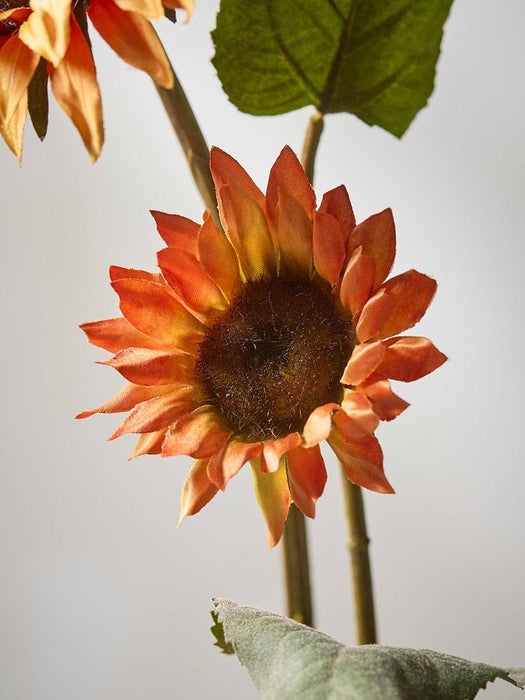 Sunflower Spray