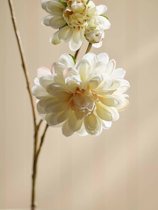 Dahlia Spray - Cream