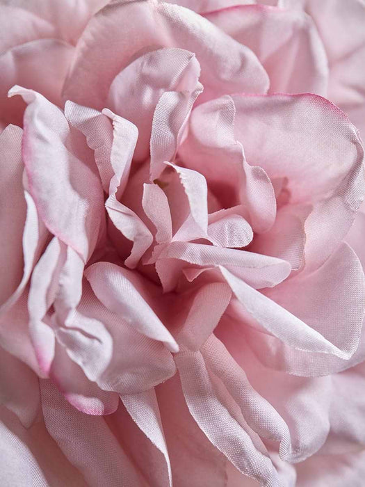 Rose Stem - Pink