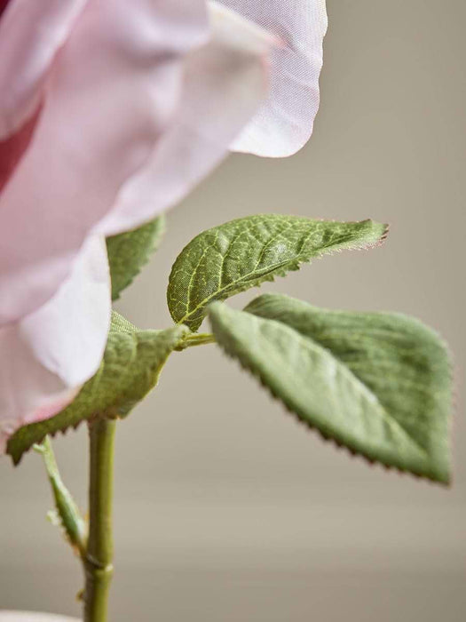 Rose Stem - Pink