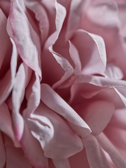 Rose Stem - Pink