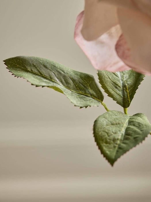 Rose Stem - Antique Pink