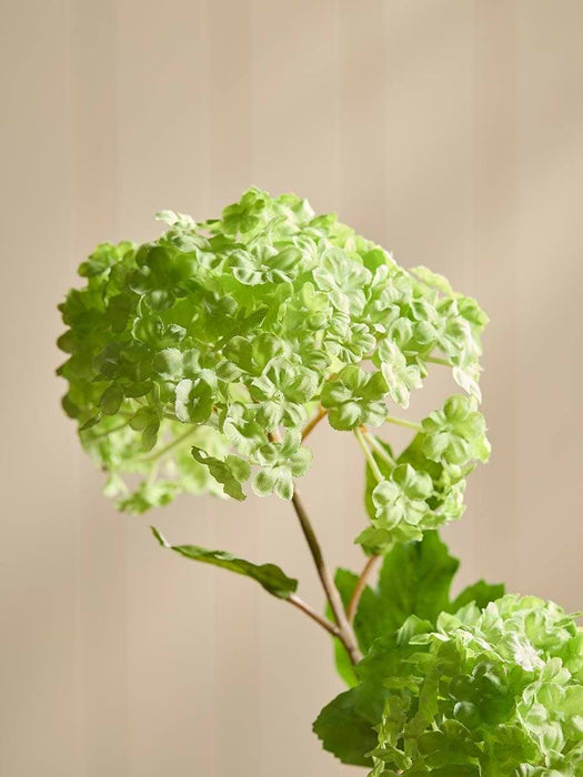 Snowball Spray - Green