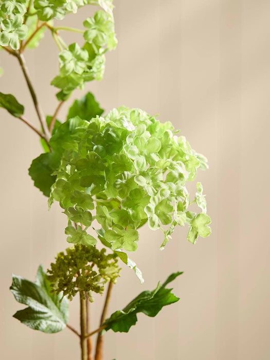 Snowball Spray - Green