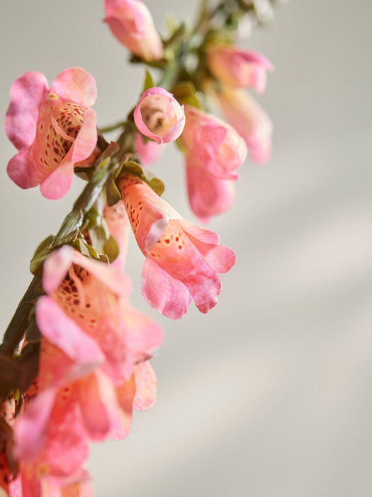 Digitalis Spray - Pink