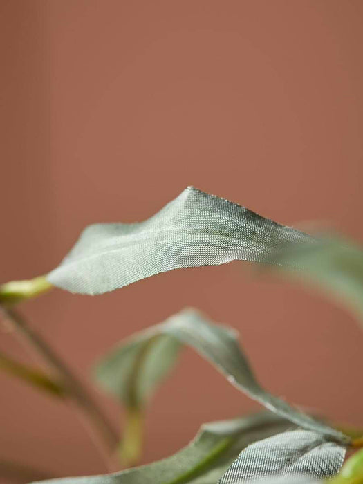 Willow Eucalyptus Spray