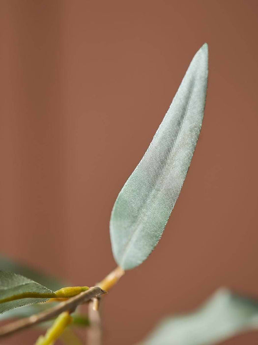 Willow Eucalyptus Spray