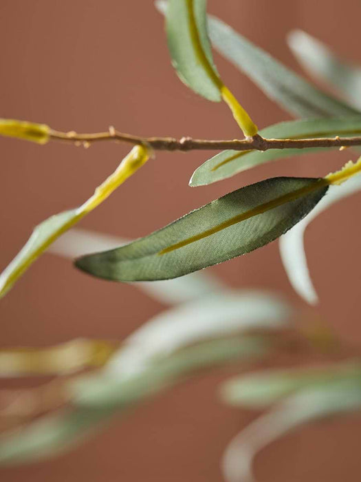 Willow Eucalyptus Spray