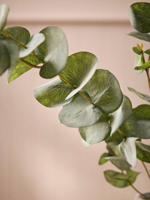 Eucalyptus Spray - Green