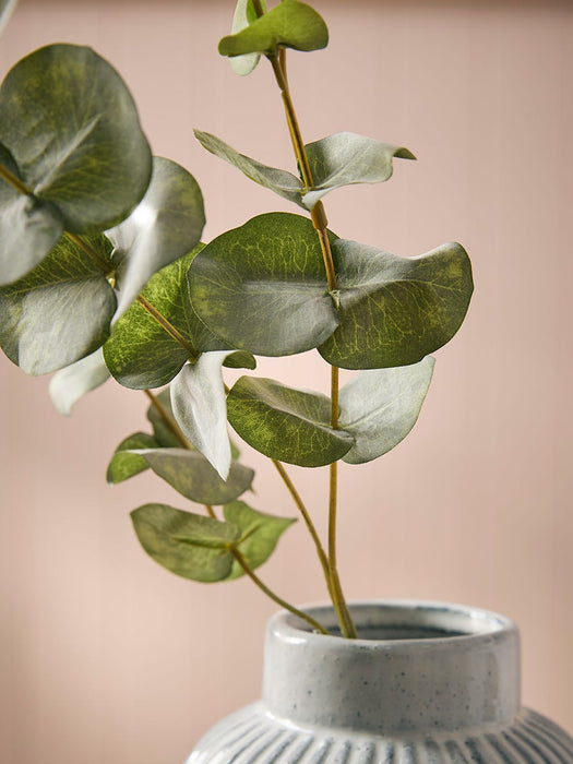 Eucalyptus Spray - Green