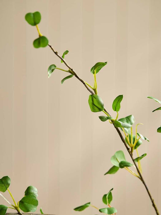 Leaf Spray