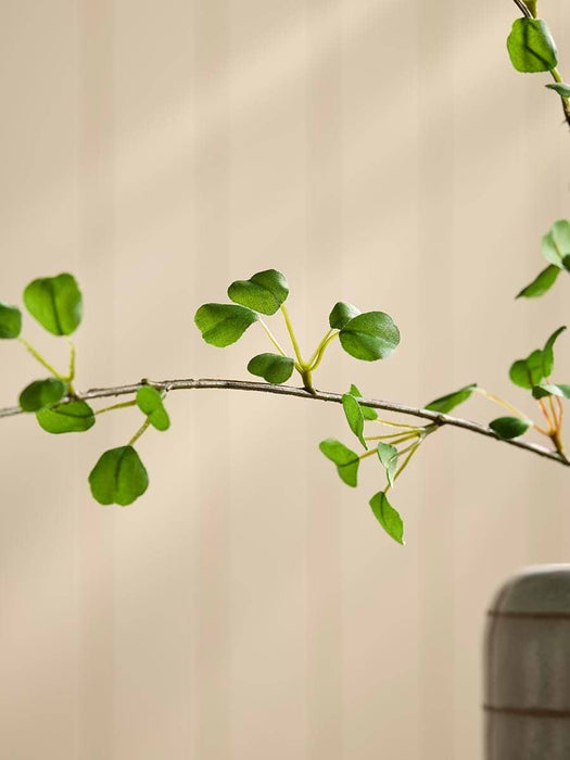 Leaf Spray