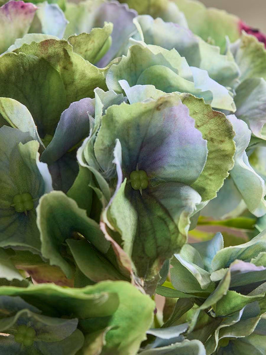 Hydrangea Stem - Green