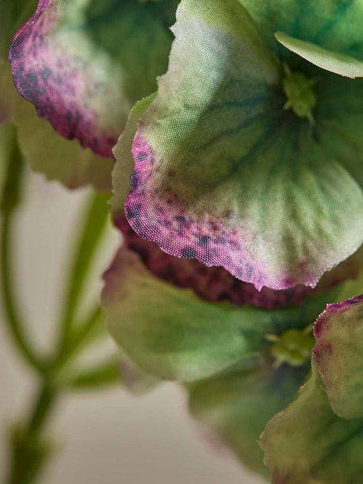 Hydrangea Stem - Green