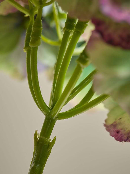 Hydrangea Stem - Green