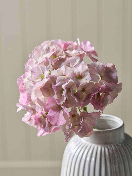 Hydrangea Stem -Pink