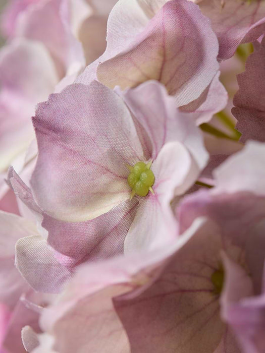 Hydrangea Stem -Pink