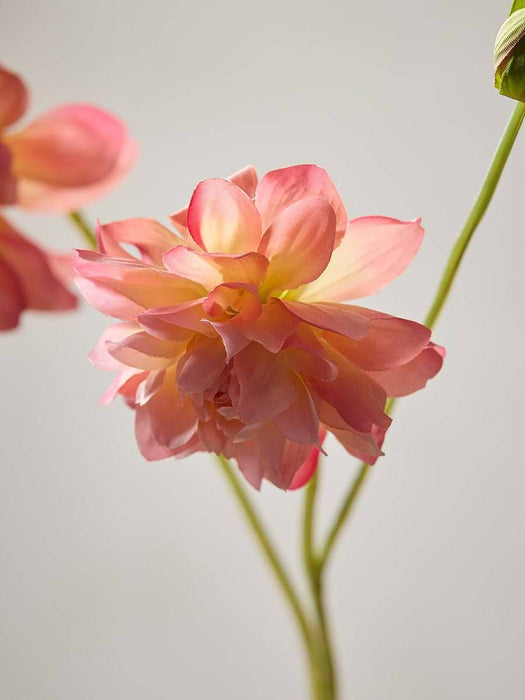 Dahlia Spray - Coral
