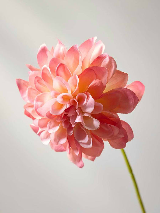 Dahlia Spray - Coral
